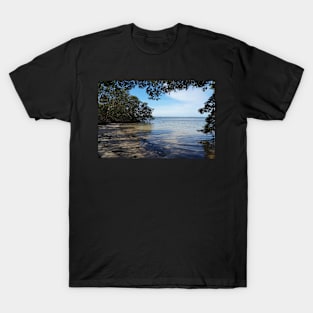 Hidden Beach at Robinson Preserve (3) T-Shirt